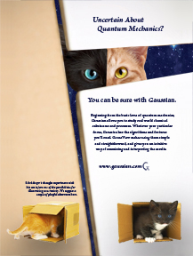 two cats